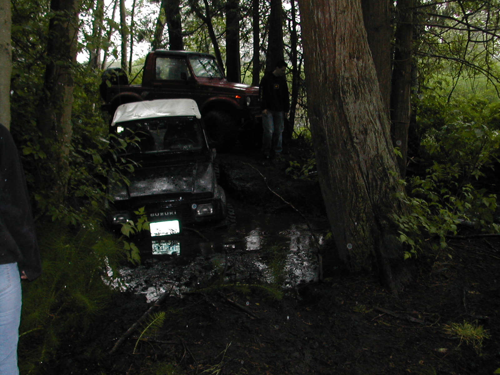 dscn0685.jpg